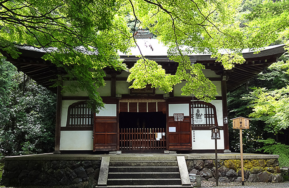 新緑の地蔵院本堂