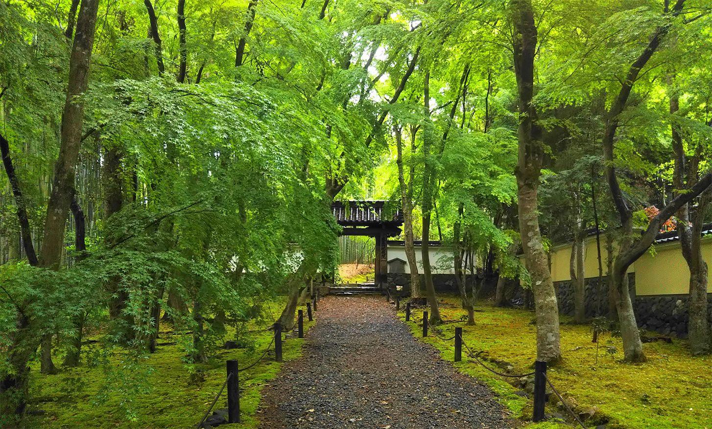 地蔵院の魅力 画像