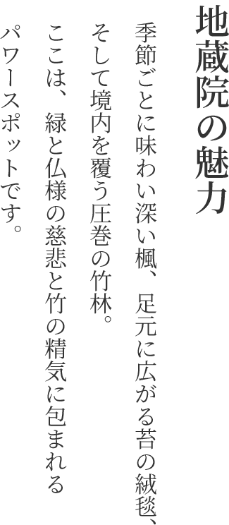 地蔵院の魅力 テキスト