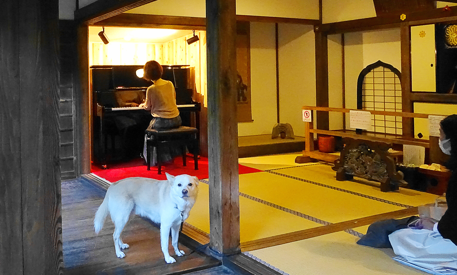 音楽奉納 寺ピアノ テキスト
