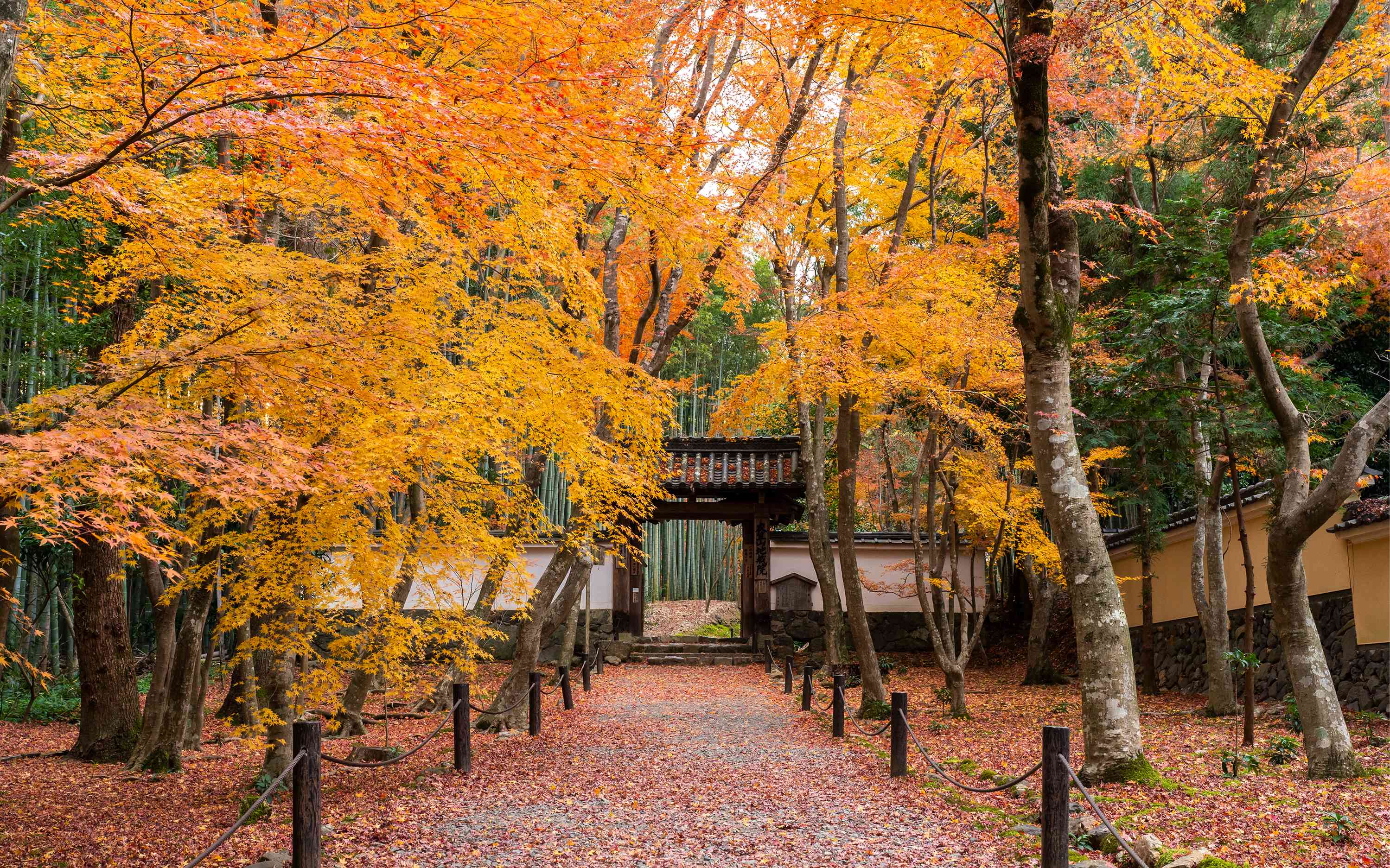 紅葉の総門