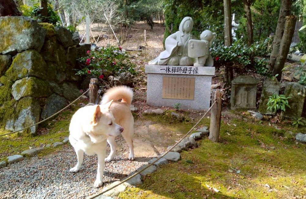 新緑の地蔵院総門