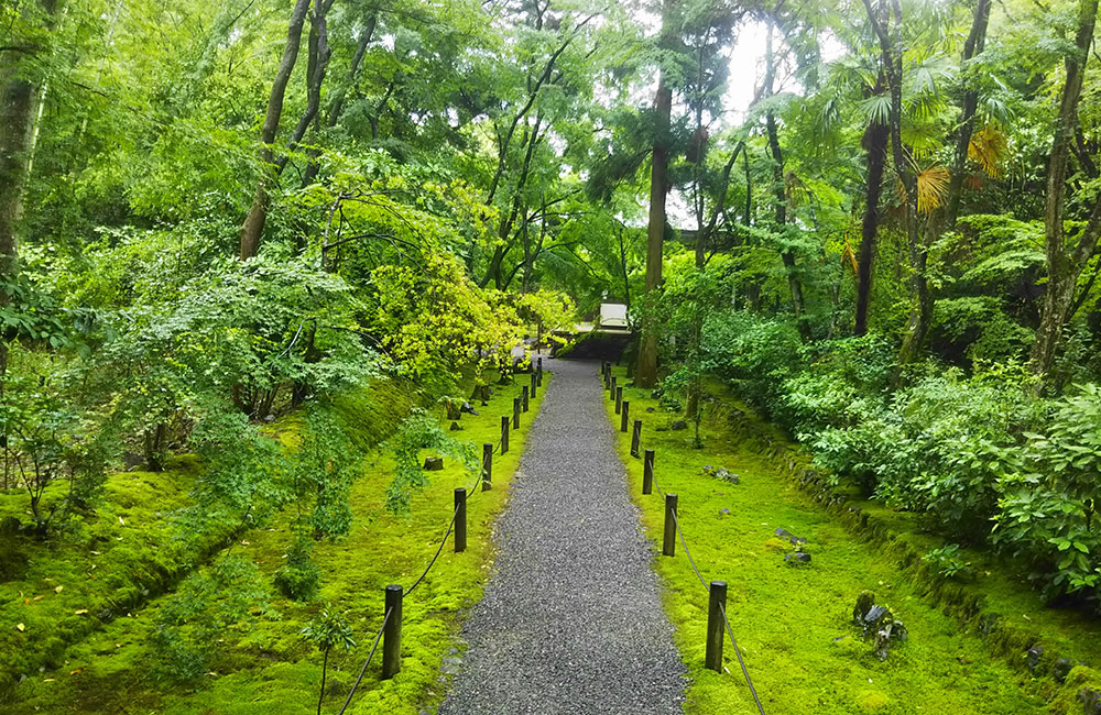 竹林の地蔵院参道